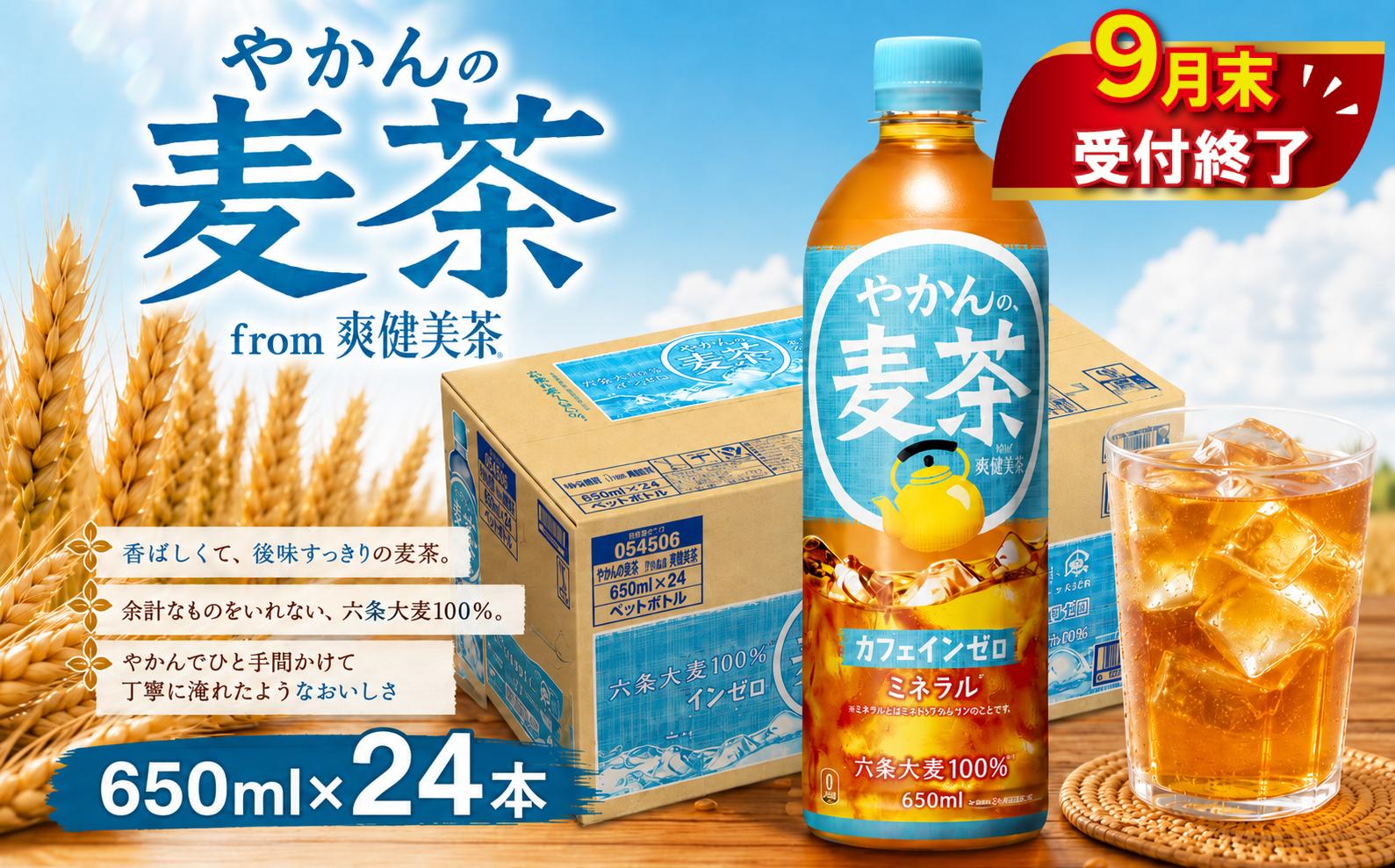 
                  【9月末掲載終了】 やかんの麦茶 PET 650ml × 24本 セット お茶 麦茶 むぎ茶 ペットボトル ぺっとぼとる ぺっと お茶 おちゃ 御茶 茶葉 飲料 ドリンク 飲み物 のみもの 飲物 tea 防災グッズ 日用品 日常使い 生活用品 防災 備蓄 食べ物以外 コカコーラ 関東 神奈川 海老名
                