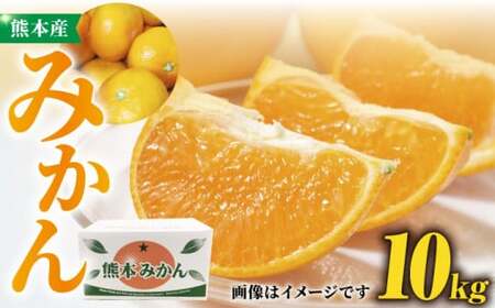 みかん 約10kg 熊本みかん果物フルーツ柑ZCJ005