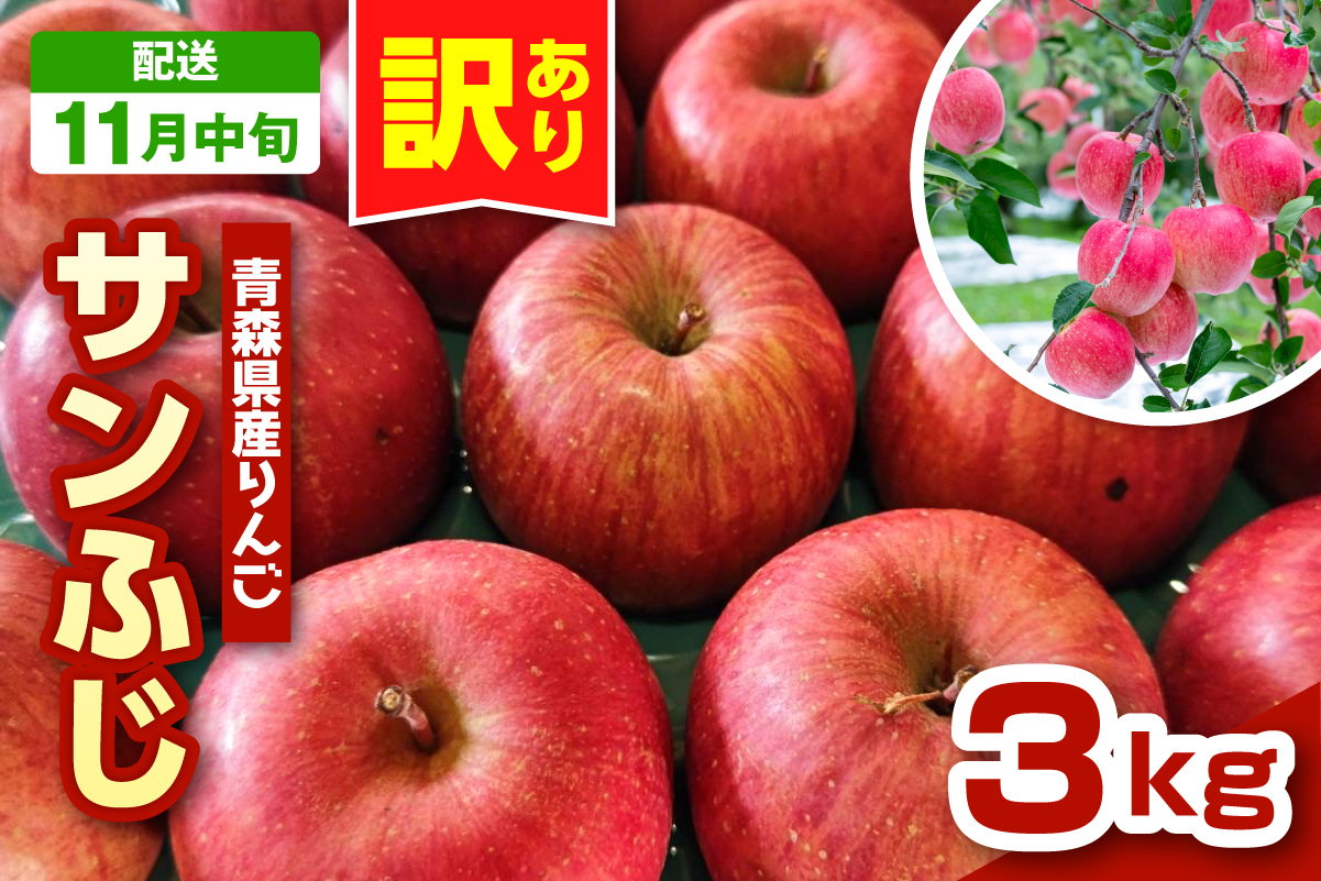 【2026年11月中旬発送】りんご　青森 サンふじ 3kg 程度 《 訳あり 》 農家直送 サンフジ 青森県五所川原市 傷 キズ ワケアリ 林檎 リンゴ apple