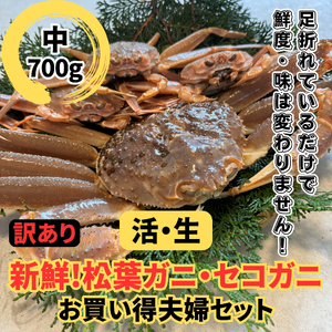 【22041】鳥取網代港【訳あり】活！松葉ガニ・セコガニ（中）【さかなや新鮮組】