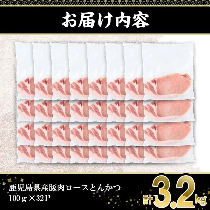 鹿児島県産 豚肉 ロース とんかつ (計3.2kg・100g×32P) 【株式会社羽根】A1083