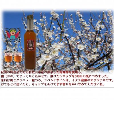 ふるさと納税 紀の川市 孫さんの紀州南高梅 梅シロップ500ml×5本セット |  | 01