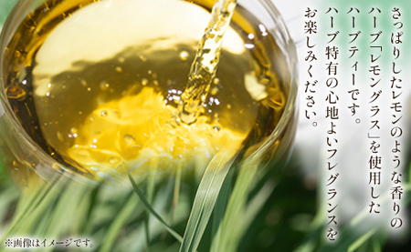 さわやかレモングラスハーブティー 36袋 レモングラス ハーブ - お茶 飲み物 ティーバッグ 茶葉 のし ギフト 贈り物 gr-0089