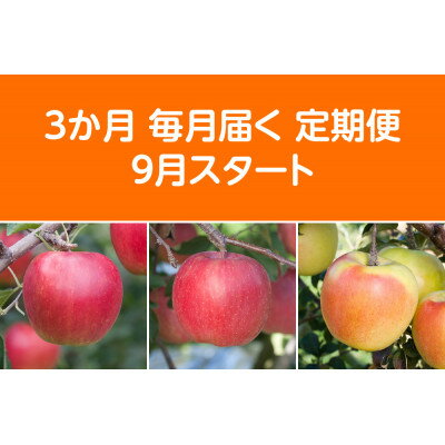 【ふるさと納税】【発送月固定定期便】〈2026年9月より順次発送〉青森県産りんご約5kg 全3回【配送不可地域：離島・沖縄県】【4051693】
