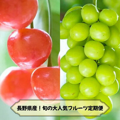 【ふるさと納税】【発送月固定定期便】2026年発送予定 長野の果物 さくらんぼ+シャインマスカット全2回【配送不可地域：離島】【4081260】