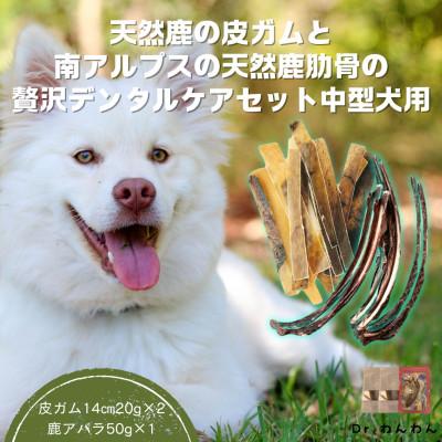 ふるさと納税 南アルプス市 天然鹿の皮ガムと南アルプスの天然鹿肋の贅沢デンタルケアセット中型犬用【皮ガム40g・肋(大)50g】