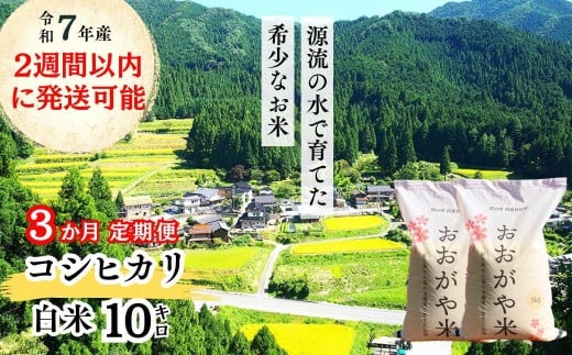 《令和7年産2週間以内に発送》【3回定期便】白米 10kg 令和7年産 コシヒカリ 岡山 「おおがや米」生産組合 G-ag-BEFA