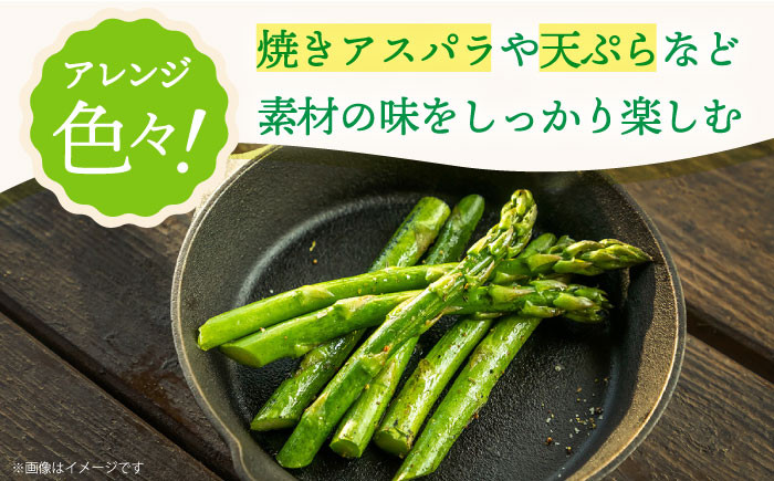 アスパラガス 春芽 約1kg 小値賀町