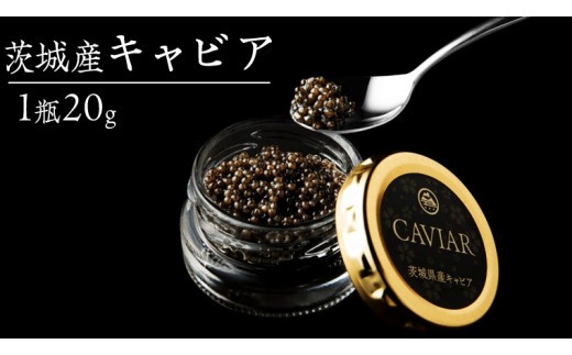 
                  つくばスタージョン キャビア 20g×1  高級食材 記念日 誕生日 世界三大珍味 国産キャビア 茨城県産 茨城[AI005sa]
                