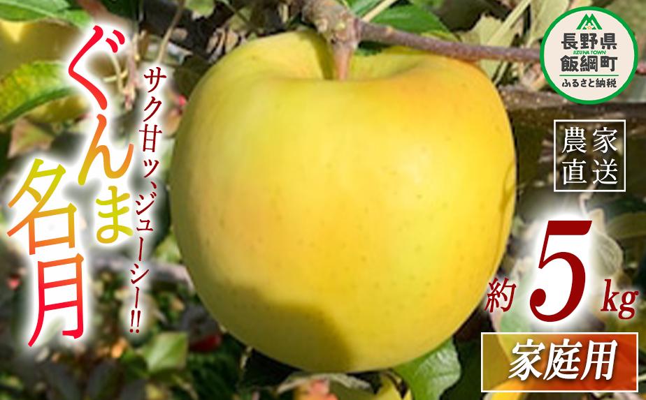 りんご ぐんま名月 家庭用 5kg ファームトヤ 沖縄県への配送不可 2025年11月中旬頃から2025年12月下旬頃まで順次発送予定 令和7年度収穫分 信州 果物 フルーツ リンゴ 林檎 名月 長野 予約 農家直送 長野県 飯綱町 [1424]