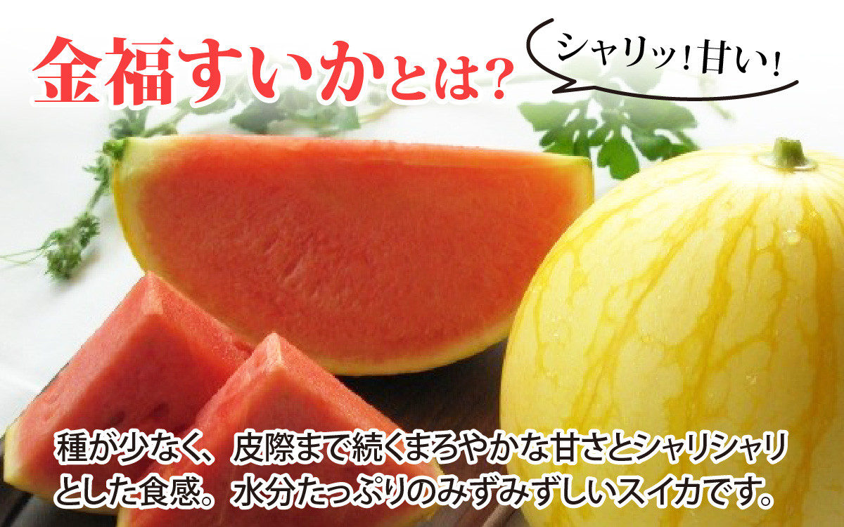立体栽培の様子