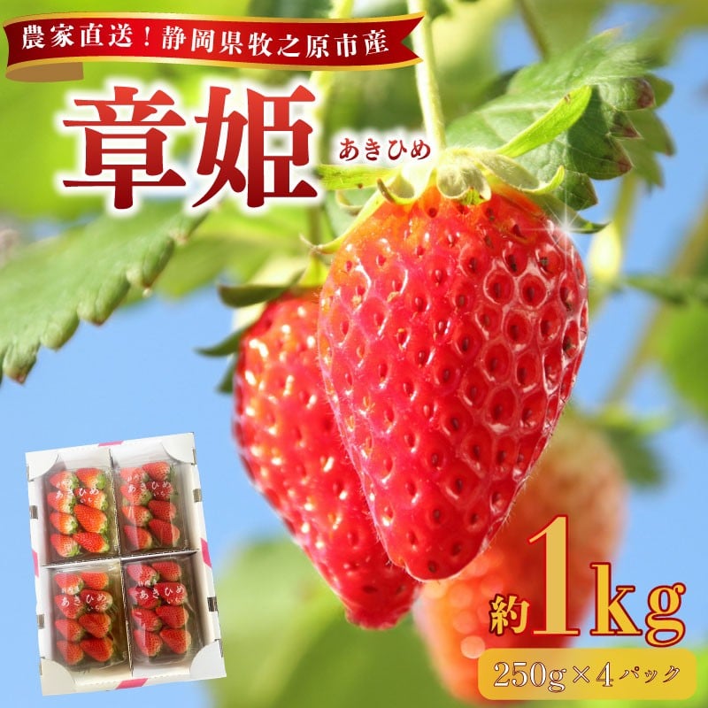 
                  【数量限定】章姫 250g×4パック 約1kg以上 苺 あきひめ 章姫 イチゴ 果物 いちご イチゴ 苺 フルーツ くだもの スイーツ デザート ストロベリー おやつ 直送 ギフト 家庭用 贈答用 贈答 ギフト 贈り物 甘い ブランド ジャム スムージー アレンジ フルーツ大福 いちご大福 農家直送 産地直送 おいしい 静岡いちご 静岡苺 国産 相良青果市場 牧之原市 静岡県
                