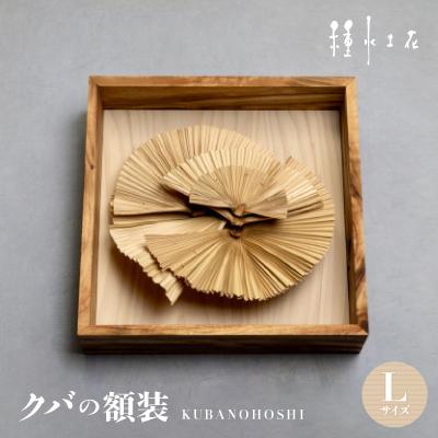 ふるさと納税 伊平屋村 クバの額装KUBANOHOSHI(白木目)Lサイズ