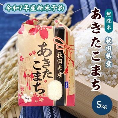 ふるさと納税 潟上市 【新米予約】令和7年産 秋田県産 あきたこまち 無洗米 5kg　9月下旬より順次発送