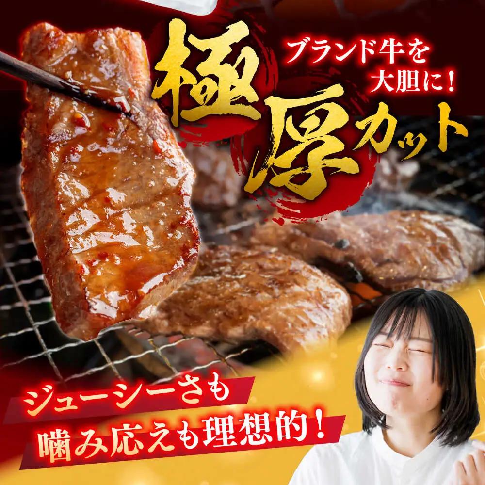 【12回定期便】佐賀牛 焼肉用 計6kg (500g×12回)  ※バラ・肩ロース・モモのいずれの部位※ しゃぶしゃぶ すきやき[FDB035]