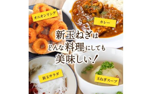 和歌山県産新玉ねぎ約10kg　Lサイズ 約25個入り　こだわり農家厳選！【2026年4月末頃～6月中旬に発送予定】人気 おすすめ たまねぎ 玉ねぎ 玉葱 タマネギ オニオン スープ サラダ 国産 野菜