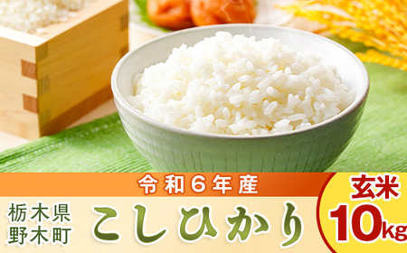 こしひかり 玄米 1等米 約10kg 栃木県 野木町産 令和6年 SZ03