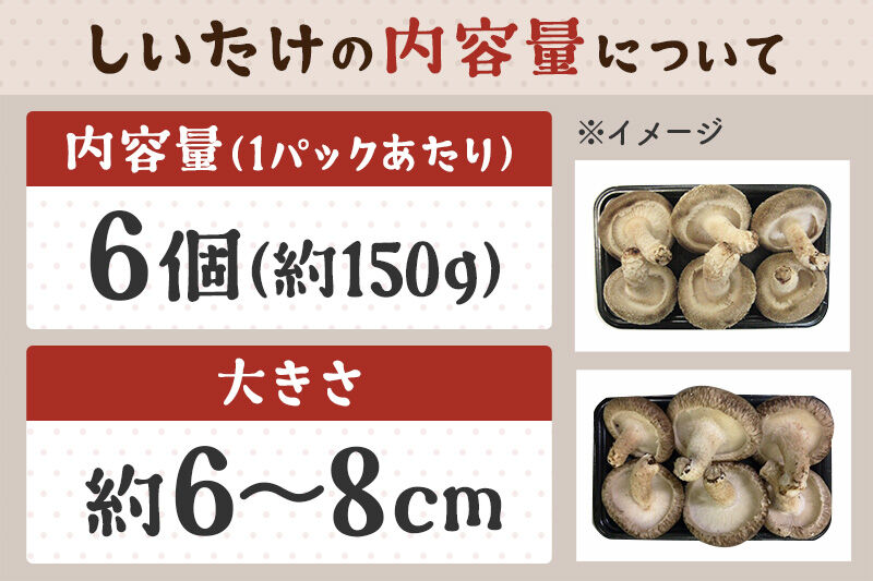 しいたけ B品 6L（約150g）×20パック [椎茸 しいたけ シイタケ きのこ]