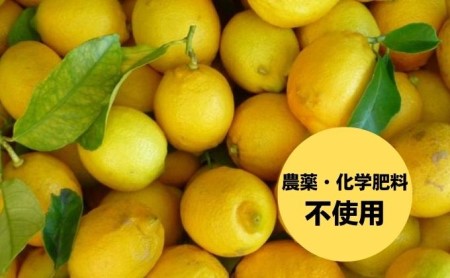 【 小豆島 】 豊島レモン アイスクリーム 2L 業務用 檸檬 レモン アイス 爽やか 大容量 たっぷり おやつ 軽食 デザート 豊島 香川 香川県 土庄 土庄町