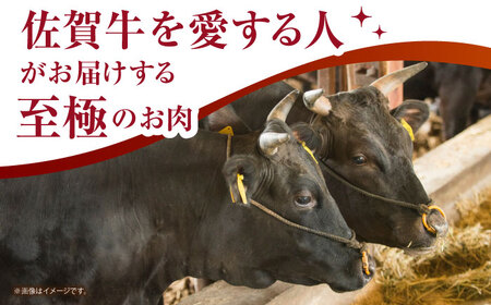 ＜全12回定期便＞佐賀牛切り落とし500g×2パック HCS034 佐賀牛