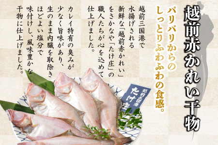 【先行予約】訳あり越前ズワイ蟹(大) 1杯 と 干しカレイ 2匹【2024年1月～3月発送予定】 [J-1602]