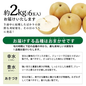 SA2928　酒田の果物専門店厳選　刈屋産 和梨　約2kg(6玉入)　品種おまかせ(幸水、豊水、あきづき)