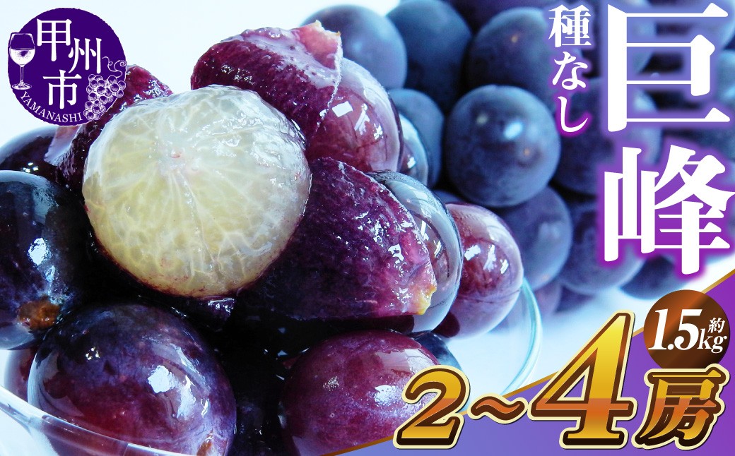 
                  新鮮産直甲州市！種なし巨峰 約1.5kg 2～4房【2026年発送】（KSF）B12-461 【巨峰 葡萄 ぶどう ブドウ 令和8年発送 期間限定 山梨県産 甲州市 フルーツ 果物 巨峰 葡萄 ぶどう】
                