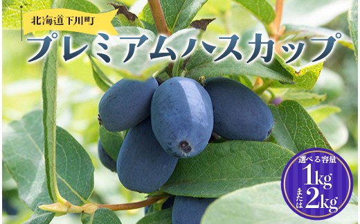 
                  【選べる容量】及川農園 プレミアムハスカップ 1kg・2kg F4G-0341var
                