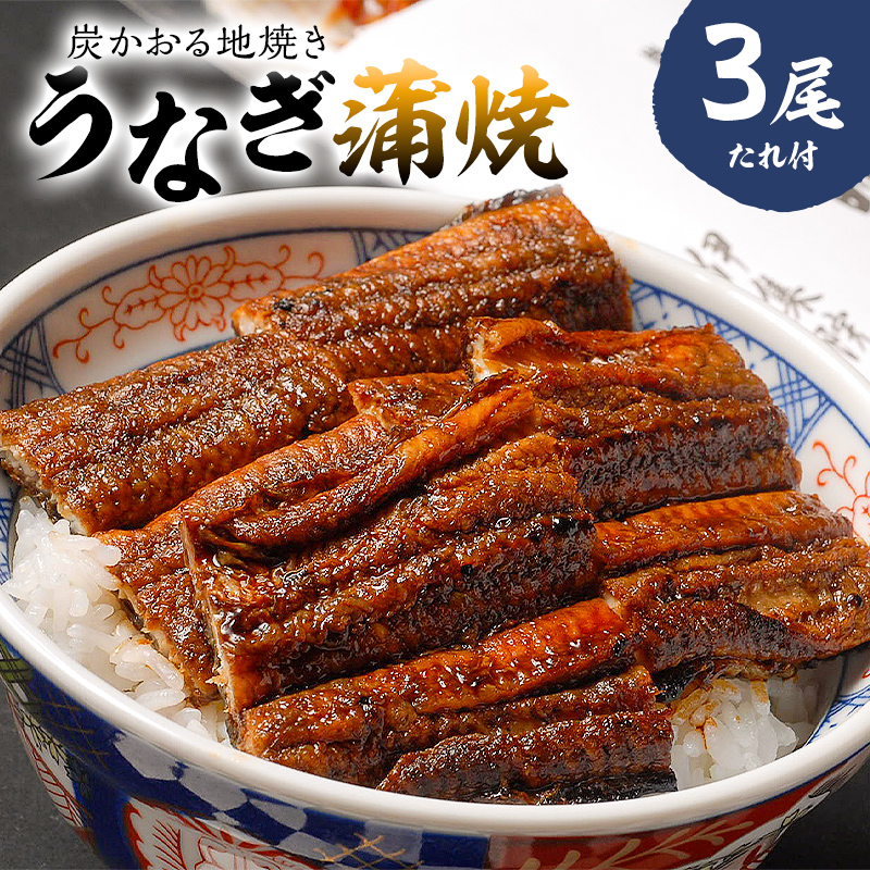 本格炭火焼　うなぎ蒲焼（たれ付き）3尾 【0021-010】