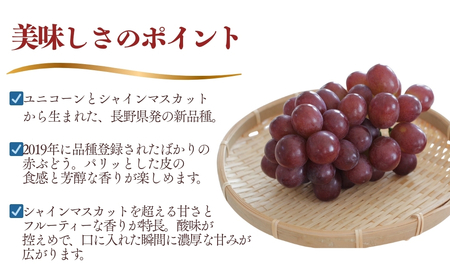 【2026年先行予約】クイーンルージュ®  400g以上(1房)  | ぶどう ぶどう