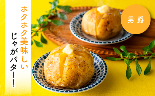 A1558.【夏季限定】立花山で育てた「新じゃがいも」2種味くらべセット（約4kg）／約2kg×2品種