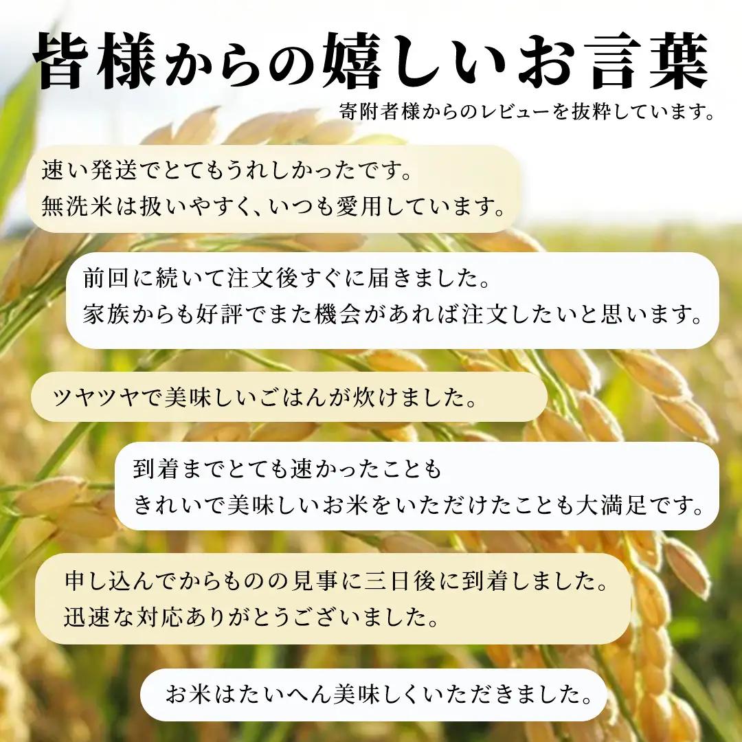 【無洗米】6ヵ月定期便 洗わず炊ける！令和8年産 コシヒカリ ホタル米 10kg × 6ヶ月 産地直送 一人暮らし 単身赴任 キャンプ アウトドア 茨城県 城里町 新米 精白米 米 ご飯 こしひかり 