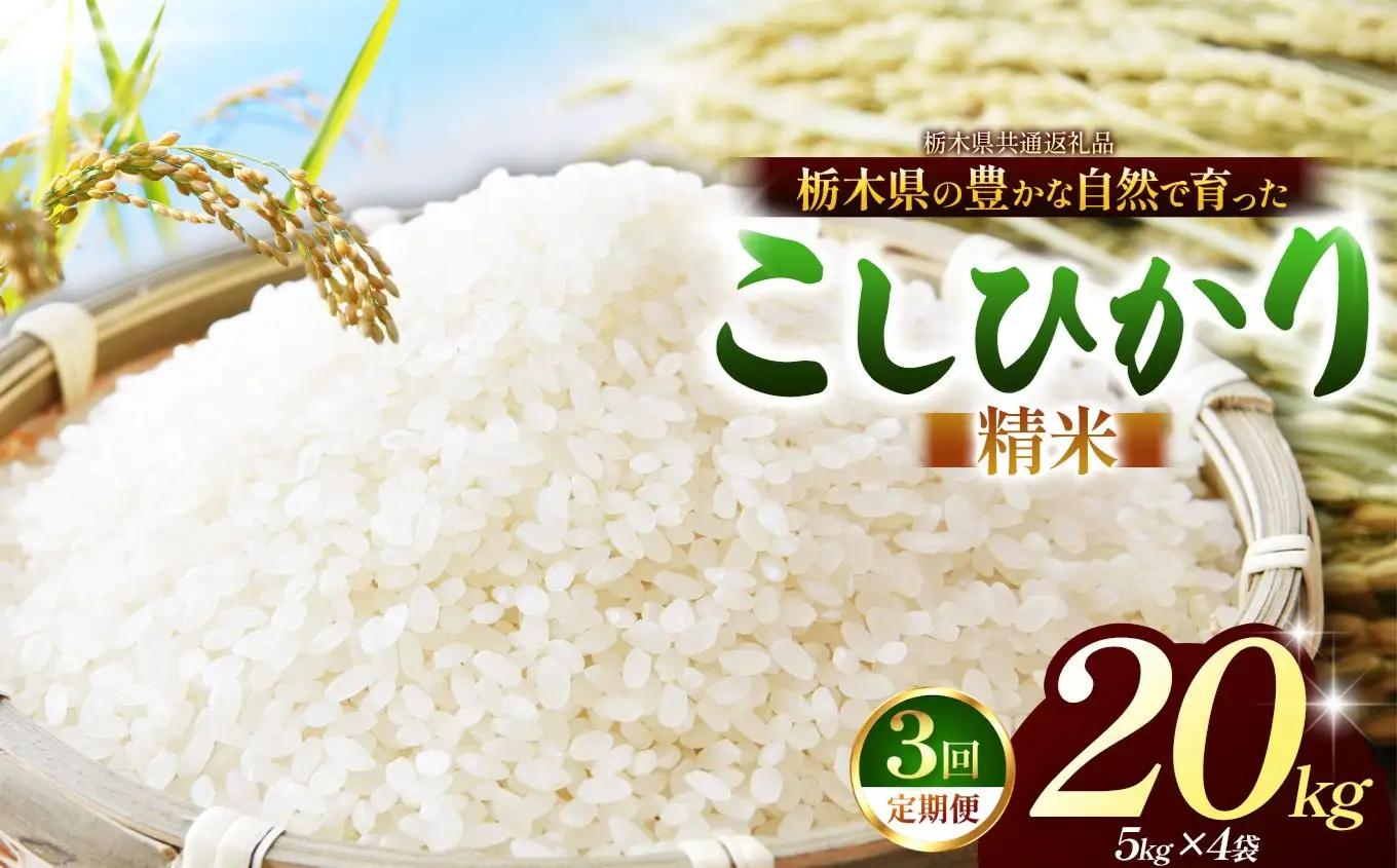 【栃木県共通返礼品】【定期3回】【令和８年度産】コシヒカリ 20kg お米  米 | 栃木県 那珂川町 送料無料
