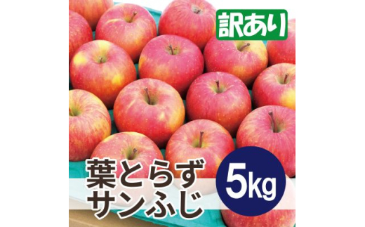 ＜26年2月出荷予定＞平均糖度13度以上! 葉とらずサンふじ 約5kg 訳あり【1612850】