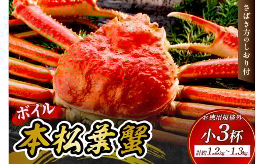【 国産日本海の松葉蟹をボイルでお届け！ 】【先行予約】ボイルでお届け。ボイル本松葉蟹　小3杯（規格外品タグなし）＜12月10日～2月末までのお届け＞ 国産 カニ 魚介類 海の幸 年内配送 年末年始配送 【097_0725】