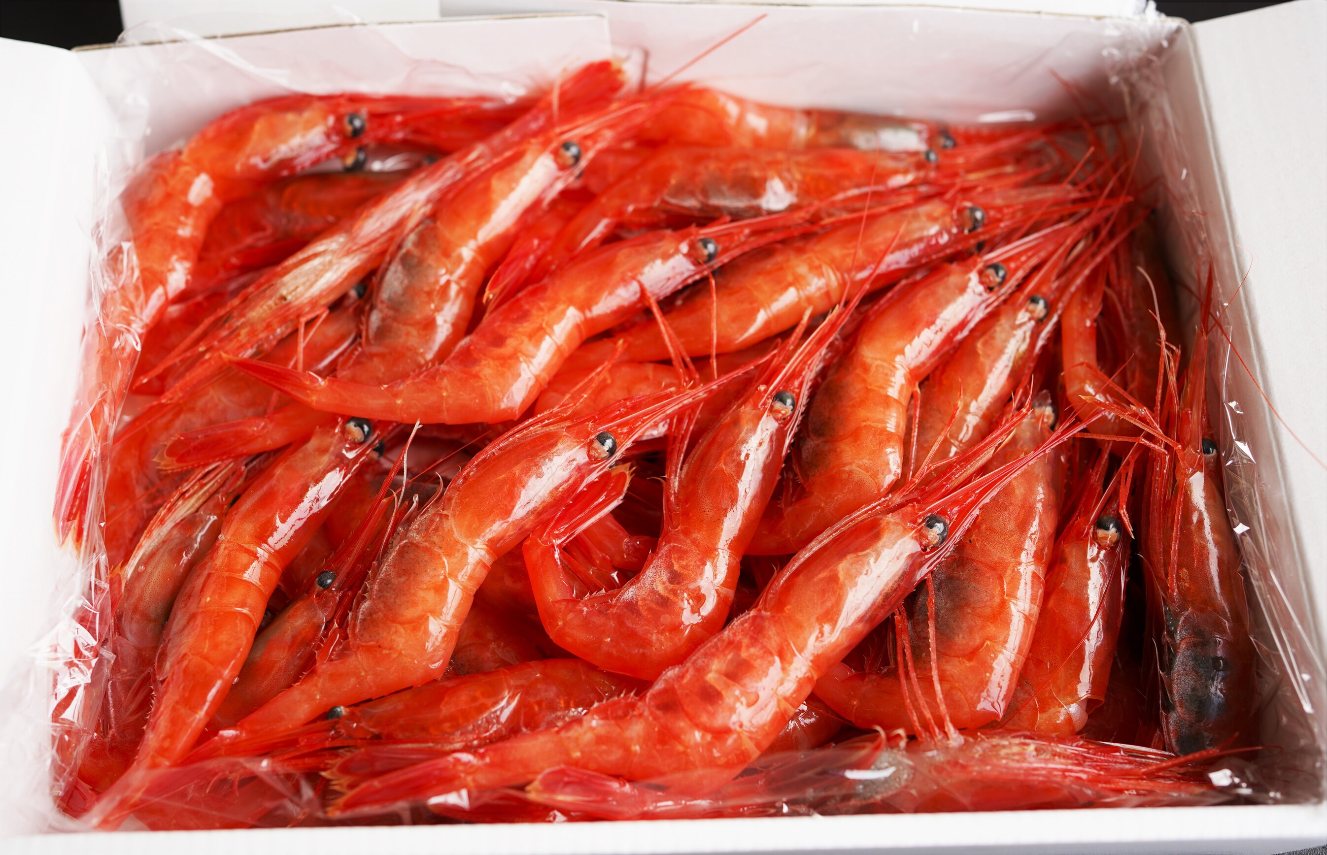 【北海道産】お刺身甘エビMサイズ1kg_イメージ2