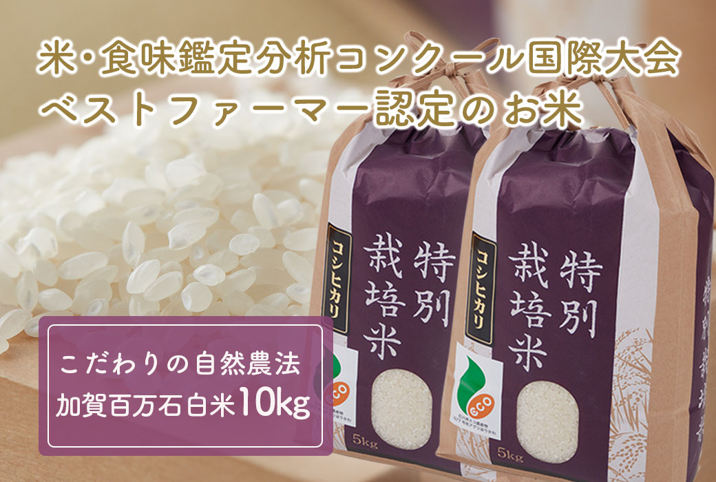 
            [№5784-0021]【令和7年度産】加賀百万石特別栽培米コシヒカリ白米10kg
          
