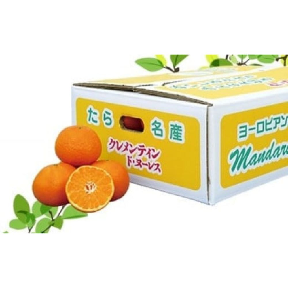 【ふるさと納税】減農薬栽培のクレメンティン 5kg みかん クレメンティン 柑橘 かんきつ 蜜柑 果物 くだもの フルーツ 減農薬 佐賀県 太良町 O26