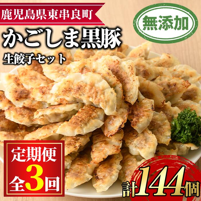【ふるさと納税】＜定期便・全3回＞鹿児島黒豚生餃子48個セット(12個入×4パック×3回・計144個)黒豚 豚肉 ぶた肉 餃子 ギョウザ ぎょうざ 惣菜【鹿児島ますや】【0365103b】