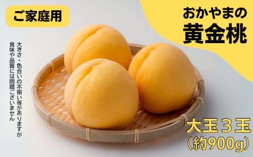 家庭用 黄金桃 3玉 大玉 約900g 岡山県産【先行予約 2025年8月下旬から順次発送】