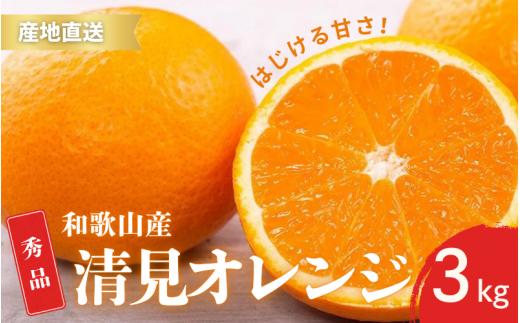 【先行予約】秀品 きよみ 清見オレンジ 和歌山 有田 S～2Lサイズ 大きさお任せ 3kg【2月上旬～3月下旬頃に順次発送】/ みかん フルーツ 果物 くだもの 蜜柑 柑橘【ktn039】