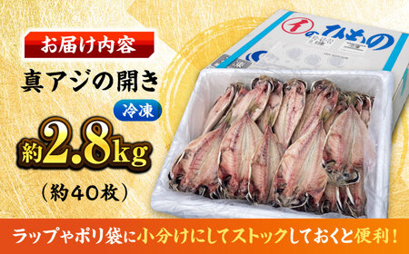漁師町佐島 真アジの開き 約2.8kgセット 干物 アジ 鯵 開き 魚 横須賀 冷凍干物 厳選干物 人気干物 干物セット【石川水産】 [AKCX001]
