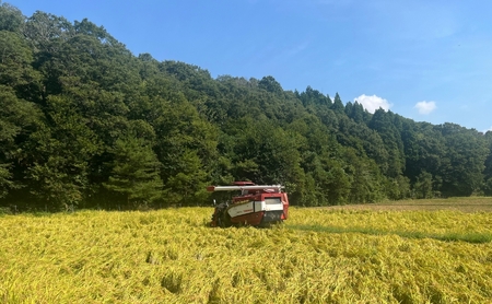 【先行予約】【定期便】令和8年産 コシヒカリ 精米5kg×6ヶ月（毎月） お米 白米 こしひかり｜石川県 小松市【元田農産】