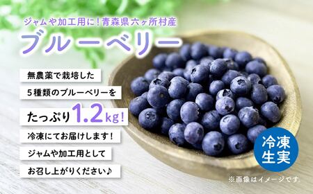 冷凍ブルーベリー300g×4袋