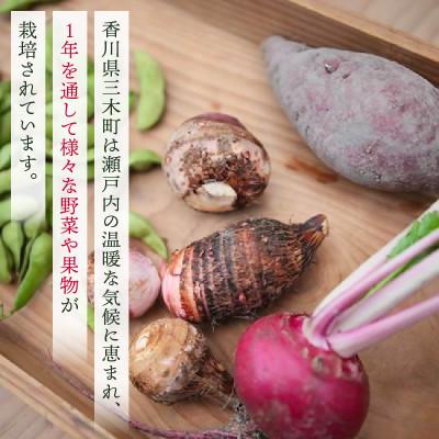 ふるさと納税 三木町 プチマルシェお野菜ボックス(M)　季節の野菜8〜9種類　≪ IDOMALL セレクト≫ |  | 01