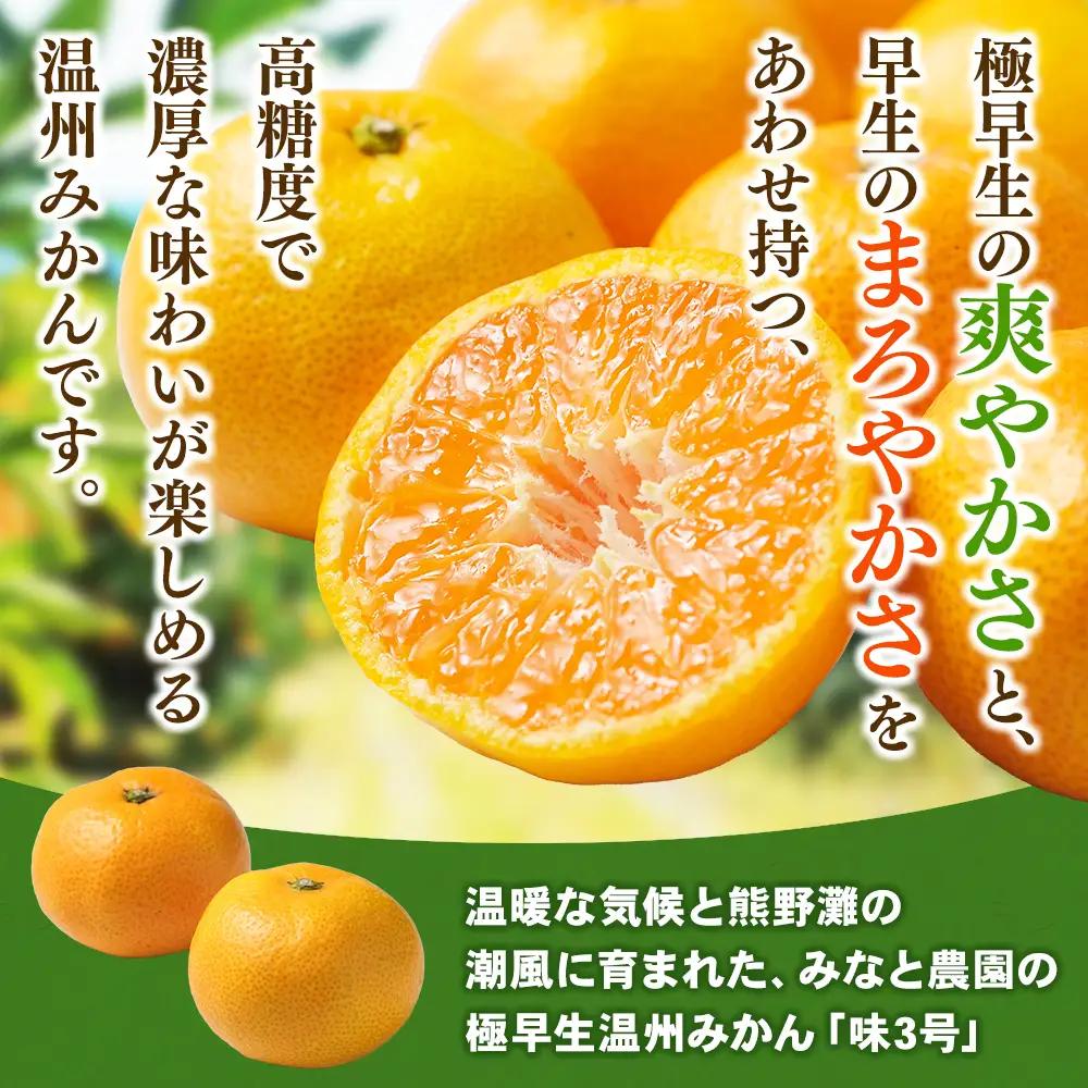 みかん 味3号 温州みかん 約10kg【mntf0006】