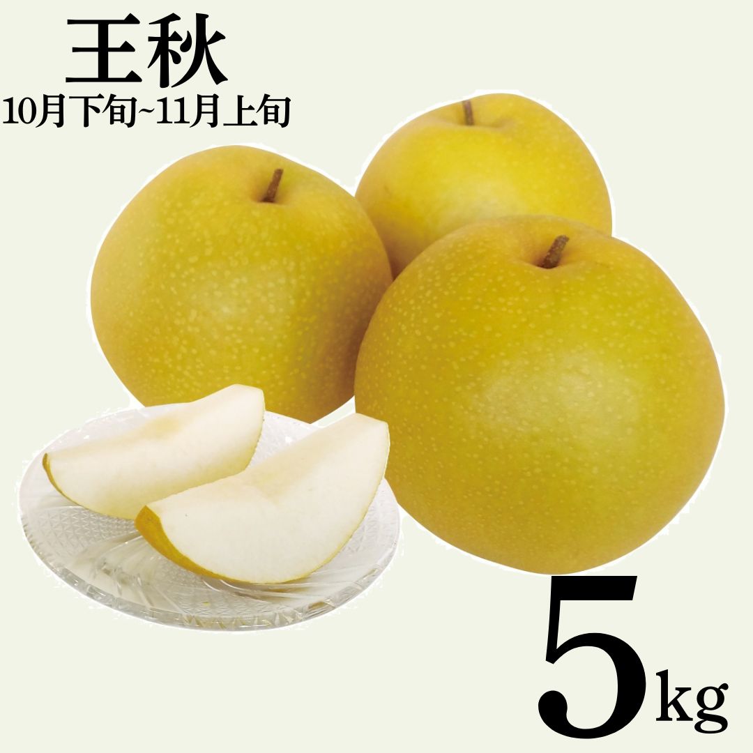 梨 なし 王秋 5kg 東郷 (12MS.)| おうしゅう 鳥取県 湯梨浜町 果物 フルーツ 特産品 2026年 先行予約 先行受付
