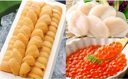 E-53002【12/10まで年内配送】 エゾバフンウニ140g×1折、いくら醤油漬け150g×1P、お刺身ホタテ貝柱500g×1P[11月上旬以降順次発送]