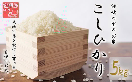 ≪令和6年産≫ ほたるの集う田んぼの米 こしひかり 6ヵ月定期便