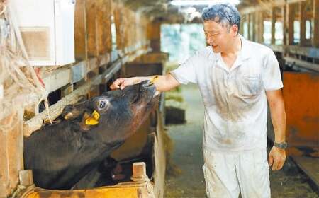 武藤牧場直売店山嘉 焼肉用お肉 約500g×4回 合計2kg 【冷凍 定期便4ヶ月】 ／ 牛肉 焼き肉 バーベキュー 定期便 三重県 桑名市